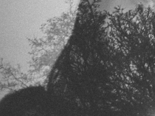 Das Sprungbrett – Gedicht